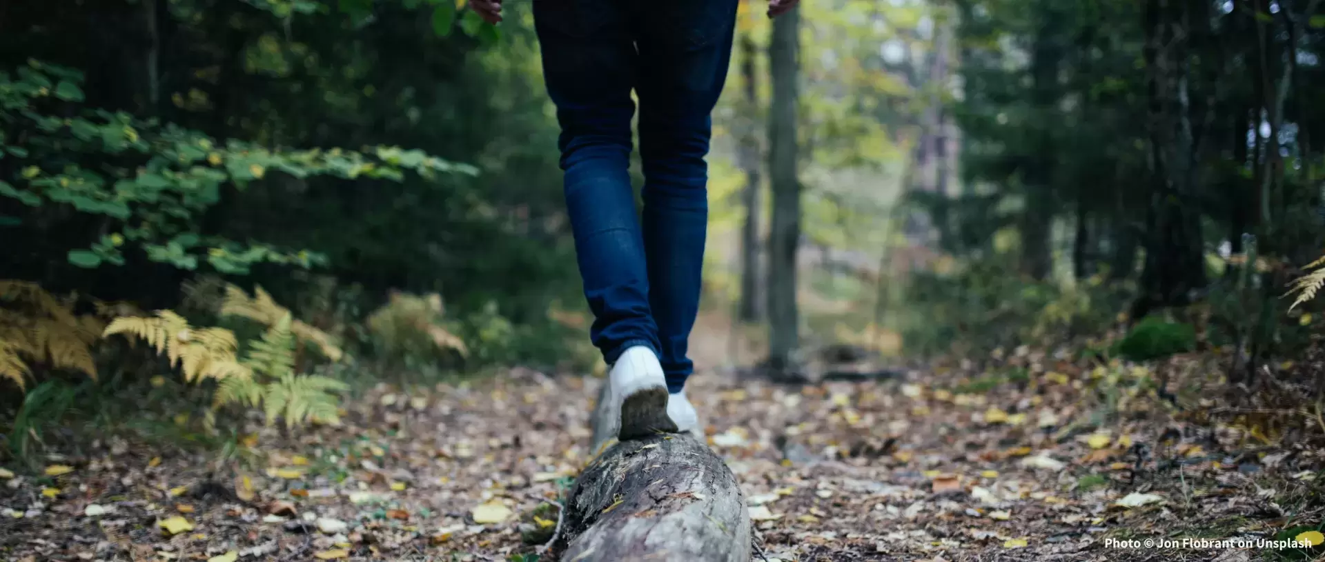 Die Füße und Plantarfaszien im Rolfing® 